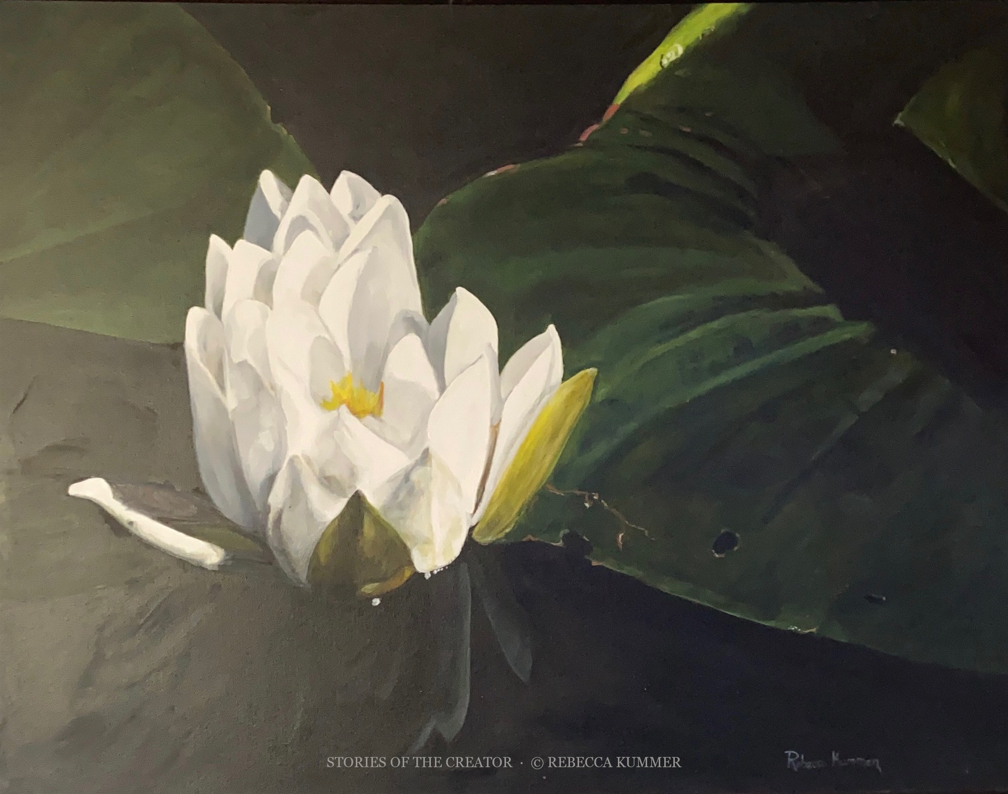 Oil painting of a luminous white water lily resting among dark green lily pads